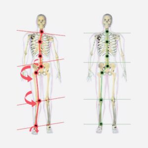 How thy improve posture.