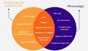 multiple sclerosis vs fibromyalgia